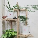 모드니헤어샵 이미지