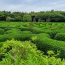 메이즈랜드 이미지