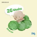[26w~28w] 임신 중기 증상기록. 나무정원 여성병원 입체초음파