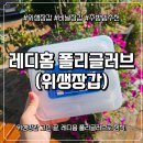 레디 | [위생장갑] 두께+내구성까지 잡은 레디홈 폴리글러브 솔직 후기