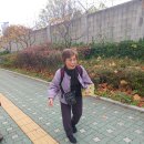 용산-이촌-141 이미지