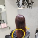 르브릭 헤어