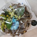 2025 🌷그새모 다섯 번째, 한매듭 후기🌷 이미지