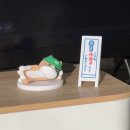 호균야채 | 제가 일어나자마자 가장 먼저 하는 일은 휴대폰을 들어서 여러분들이 쓴 블로그가 있는지 확인하는 거예요.