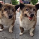 오비생맥주(OB생맥주) | 2025년 10월 중순과 10년 전 이모저모