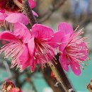 신원농산