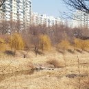 개포나무공인중개사사무소 이미지