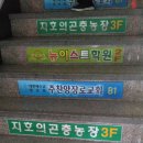 흑형농장 네이버블로그