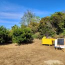 신행농장 이미지