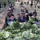 달서구 새마을회앞 이미지