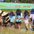 본량초교 이미지