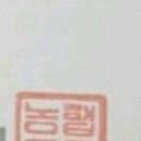 도린 이미지