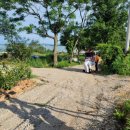 왕벌농장 이미지