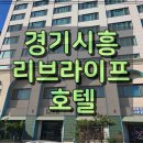 서울투어리스트호텔(SEOUL TOURIST HOTEL) | 경기시흥 리브라이프 호텔 LIVE LIFE HOTEL