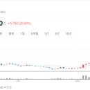 포인트 광학 네이버블로그