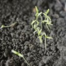 세경농장 이미지