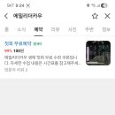 에밀리더카우