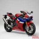 파이어코리아 이미지