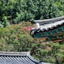 의령향교 이미지