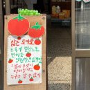 제일문구사 | [여름문구사] 제주도 구좌 감성 소품샵, 제주 여행 기념품 추천 내돈내산