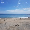 세현공인중개사사무소 이미지