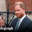 Heyday House 이미지