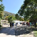 삼천리목장 이미지