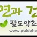 자연과  건강 이미지