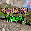 다슬기 유치원 이미지