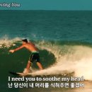 Robert Palmer - Bad Case of Loving You 이미지