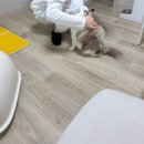 ც . 임신 25주차 - 32주차 일상 기록(임신알레르기,인수인계지옥,미래와희망 임당검사 , 임신중 독감...