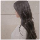 다정동_the다정빌딩옆 | 새봄헤어 다정점, 세종시미용실 찾으신다면 여기! 만족스러운 후기