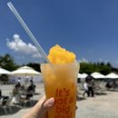 등나무 운동장 이미지