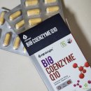 (주)엔젠바이오 | 3050대 직장인을 위한 영양제 추천│엔젯오리진 바이오 코엔자임 Q10 코큐텐 효능 복용방법 제품 고르는...