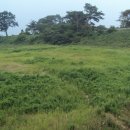 부영아파트 앞 이미지