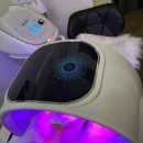 바디페이스 이미지