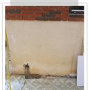 점주가든 이미지