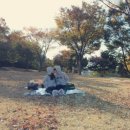 그 해 가을 이미지