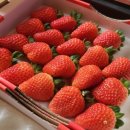 너래안농장 이미지