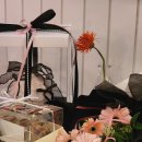 아마도특별한 | 동대구역 청첩장 모임 장소 추천 : '아에오(AEO)' 내돈내산 후기 (주차, 예약, 가성비)