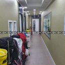 뉴지존스크린 이미지