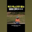 [심리차폐] 카페에서 범죄하고 있는 기독인들은....예수님 뜻되로.... 이런 목자가 돼봐 이미지