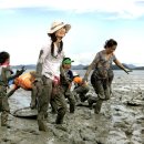 갯벌의 추억 이미지