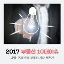 고대1103 이미지