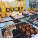 스테이휴 물.새.숲 이미지