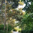 바람솔길펜션 이미지