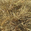 친환경대한민국 주식회사 이미지