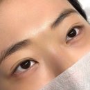 갈마동 눈썹, 대전 서구 속눈썹, 대전 속눈썹, 대전 블랙틴팅펌 맛집 추천: 고요뷰티