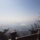 용인자연숲캠핑장 이미지