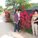 인동초민박 이미지